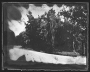 Olson Negatives, Box 003: Image 0050 (a)