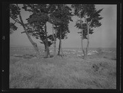 Olson Negatives, Box 009: Image 0229