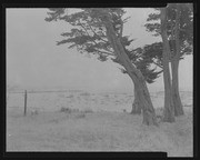 Olson Negatives, Box 009: Image 0277