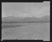 Olson Negatives, Box 010: Image 0222