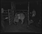 Olson Negatives, Box 008: Image 0036