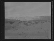 Olson Negatives, Box 010: Image 0021