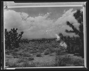 Olson Negatives, Box 002: Image 0096