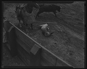 Olson Negatives, Box 009: Image 0007