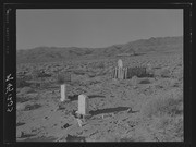 Olson Negatives, Box 010: Image 0177