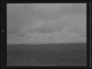 Olson Negatives, Box 009: Image 0263