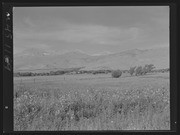 Olson Negatives, Box 010: Image 0166