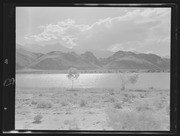 Olson Negatives, Box 010: Image 0153