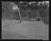 Olson Negatives, Box 010: Image 0110