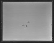 Olson Negatives, Box 005: Image 0077