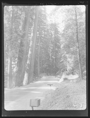 Olson Negatives, Box 002: Image 0034