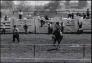 Black and White Rodeo Shots / Indios Arabic Stage in Color / B & W Parade Shots