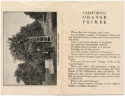 California Orange Primer