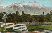 [Fruit orchard alongside railroad right of way]