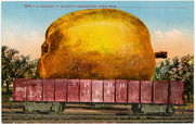 [Railroad freight car filled with giant apple]