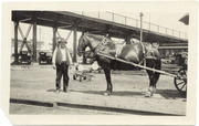 [Man and horse cart under I Street bridge, Sacramento]