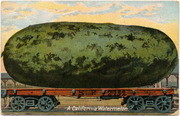 [Railroad freight car transports a giant watermelon]