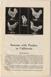 Success with poultry in California