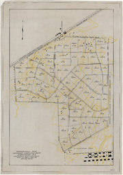 Topographic Map Natomas American River Subdivision No. 4