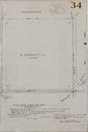 Plat of a Tract of Land Owned by R. Kawamoto