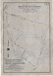 Record of Survey Property of Cora B. Cavanaugh