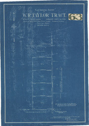 Plat Showing Survey of W.R. Taylor Tract