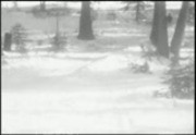 [Home movies. Haas/Lilienthal. Lake Tahoe]