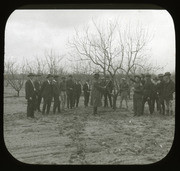 Chaffey College pruning demonstration