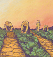 FarmSetting_JourneyForJustice