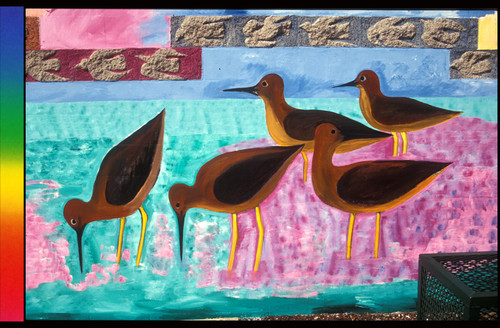 Santa Fe Wetlands Mural (detail)