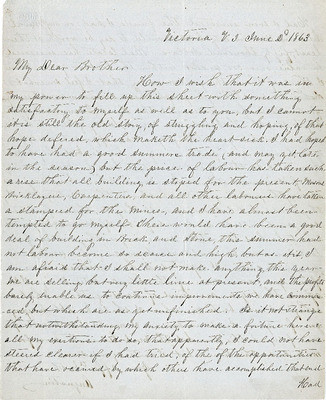 Letter from Augustin Hibbard to Brother [William Hibbard], 1863 June 2