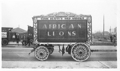 Circus - Calif. - Stockton: Circus wagon for Clyde Beatty's Wild Animals meant to transport African Lions