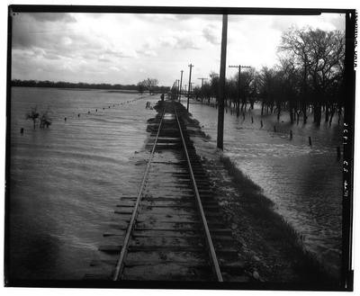 Railroads Freight- Stockton: Assorted photos of railroad track, freight cars, tank cars and freight yards