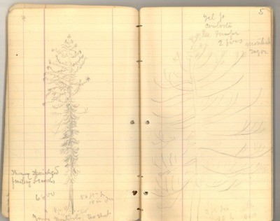 June-August 1878 [Journal 26]: Geodetic Survey from Sacramento to Wasatch Mountains, Utah