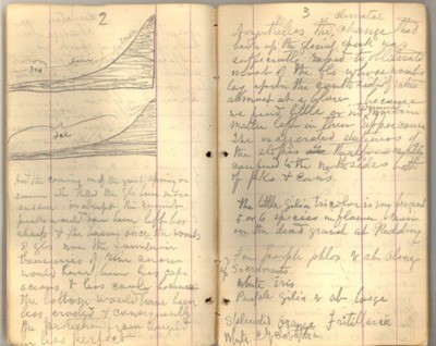 April 1875 [Journal 19]: Glaciers, Dead Rivers, Sketches, Shasta Storms