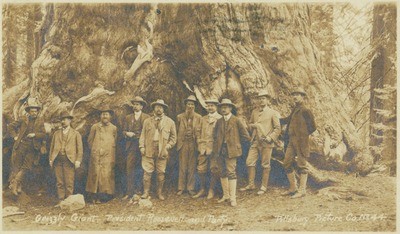 Governor George Pardee, President Theodore Roosevelt, John Muir, Secretary Loeb, and Dr. Wheeler (third, fifth, sixth, eighth, and ninth from left) with unidentified men at Grizzly Giant, Mariposa Grove, California