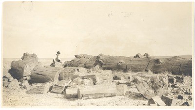 John Muir at Petrified Forest, Arizona