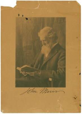 John Muir Portrait