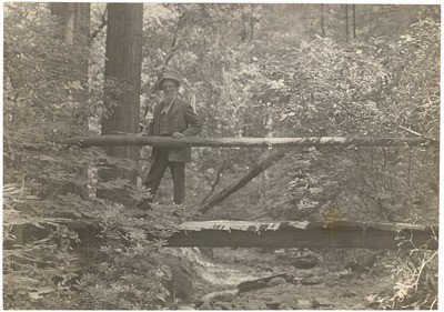 John Muir at Muir Woods, California