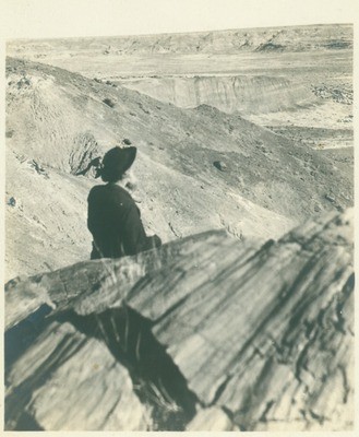 John Muir at Petrified Forest, Arizona