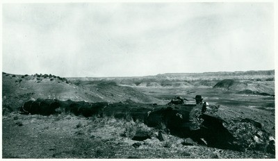 John Muir at Petrified Forest, Arizona