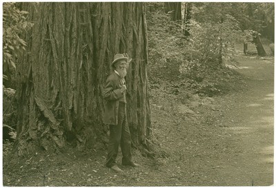 John Muir at Muir Woods, California