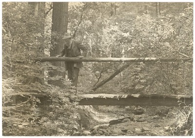 John Muir at Muir Woods, California