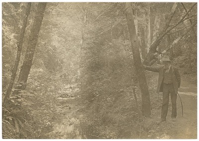 John Muir at Muir Woods, California