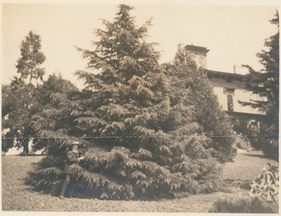 John Muir at home, Martinez, California