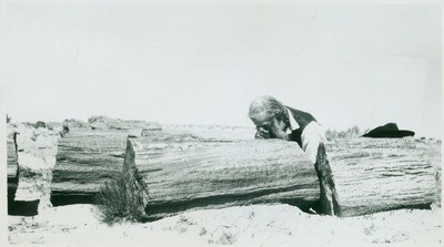 John Muir at Petrified Forest, Arizona