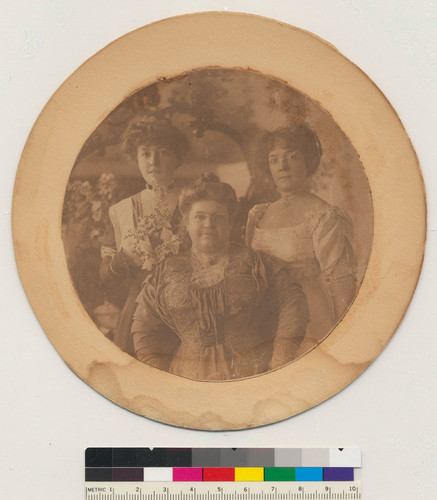 Millicent Willson Hearst, Hannah Willson and Anita Willson