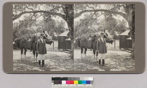 Stereograph of William Randolph Hearst with horse at Hearst Ranch