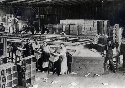 Original Chapman home ranch packing house, Santa Ysabel, California, ca. 1900