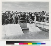 Dedication ceremony at Patterson Reservoir, South Bay Aqueduct
